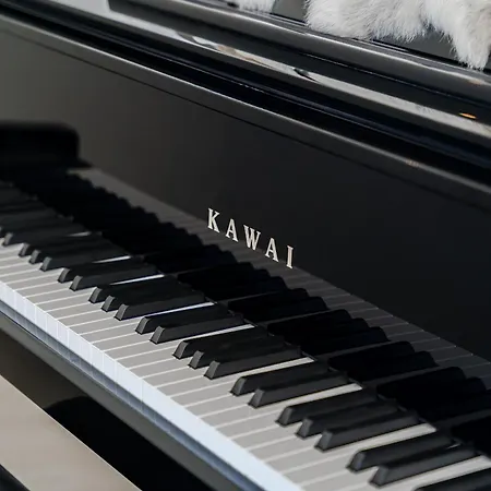 White Haven 阿德耶