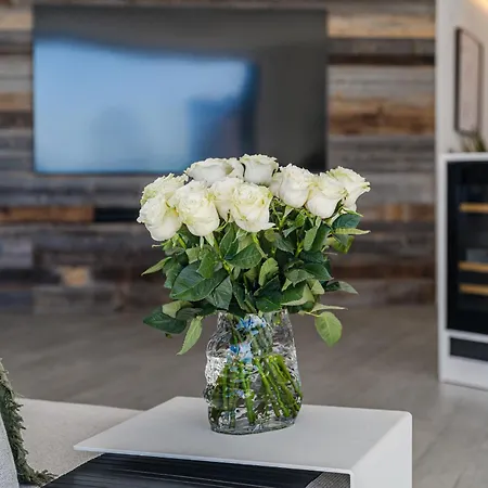 Apartamento White Haven *